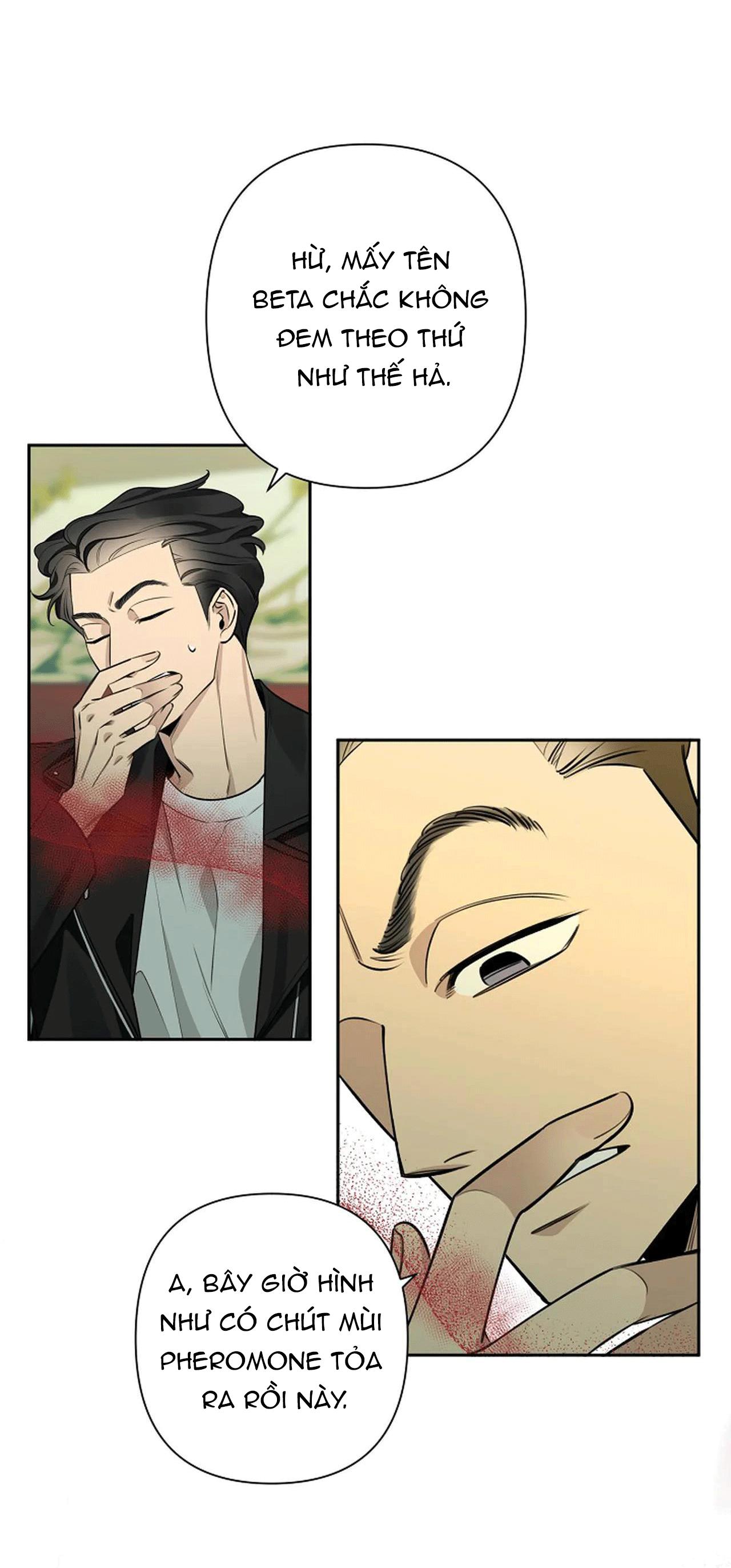 đêm dịu dàng chapter 36 38