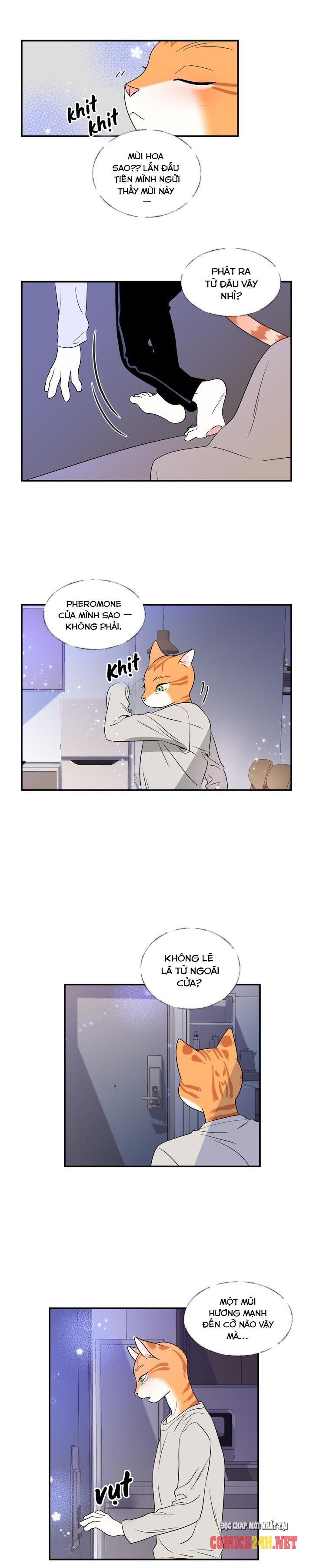 dự án xanh chapter 1 14