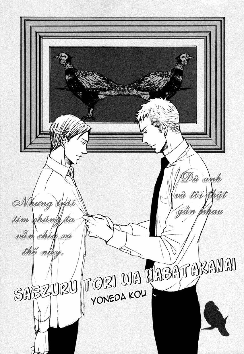 saezuru tori wa habatakanai chapter 6 3