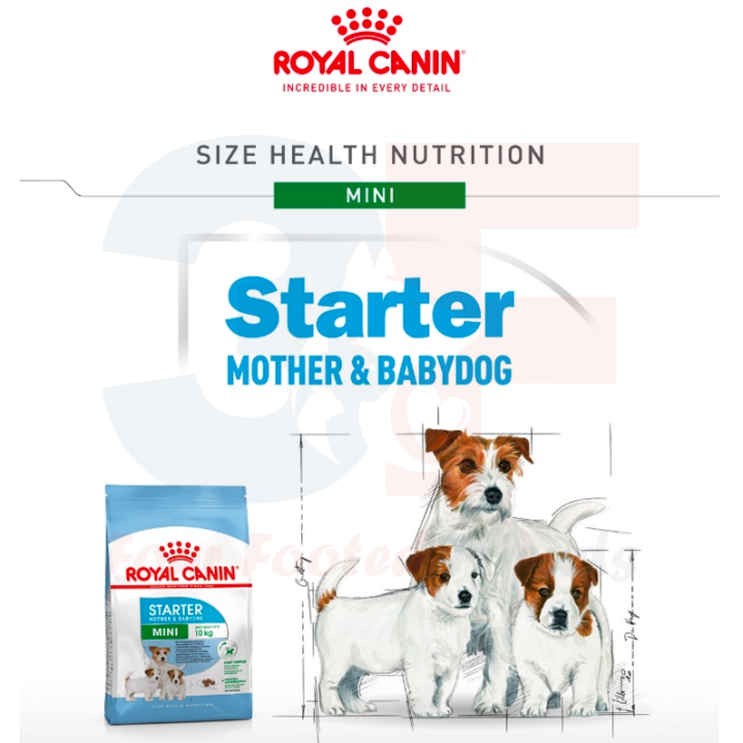 Thức Ăn Hạt Cho Chó Mẹ và Con Royal Canin Mini Starter Mother And Babydog - 1KG