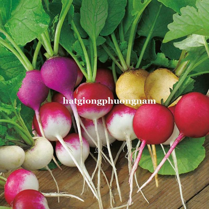 100H - HẠT GIỐNG CỦ CẢI CHERRY MIX