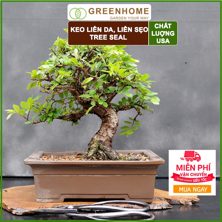 Keo liền sẹo cho cây Tree Seal, chai 100gr, hỗ trợ chiết cành, tạo dáng, bảo vệ vết cắt |Greenhome