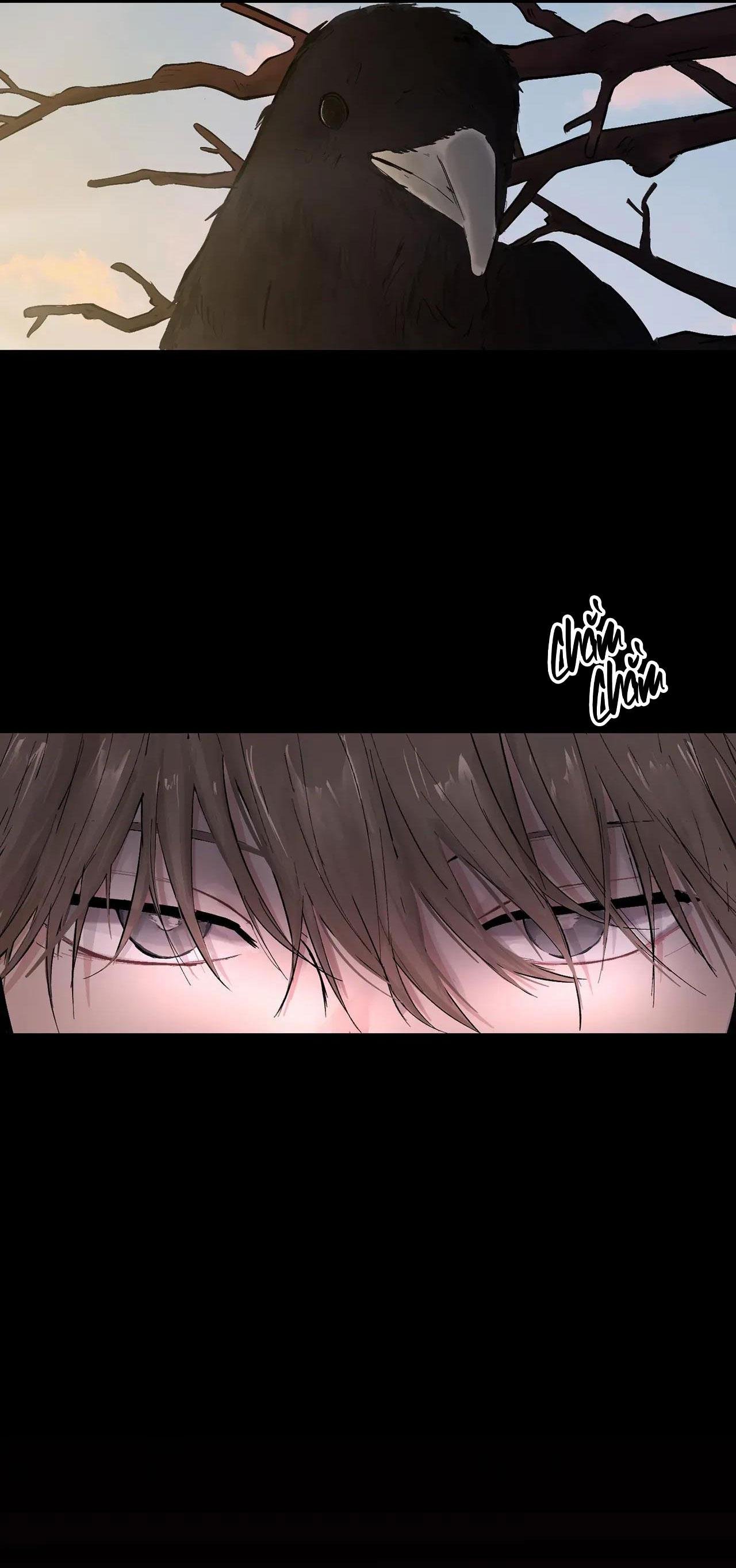 bl cổ trang - âu cổ ngắn nhà kim chapter 38.7 54