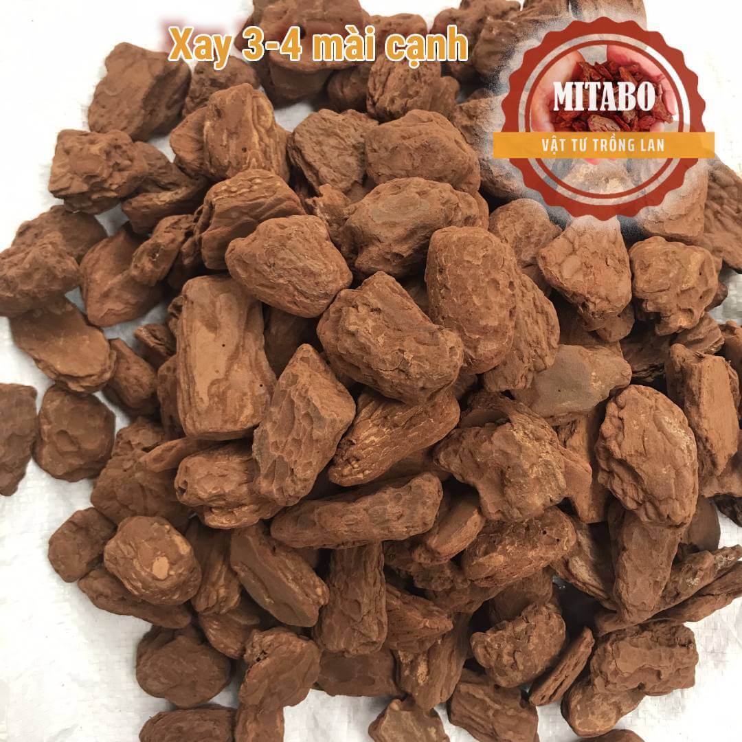 5kg vỏ thông kích thước 3-4cm mài cạnh tròn đẹp
