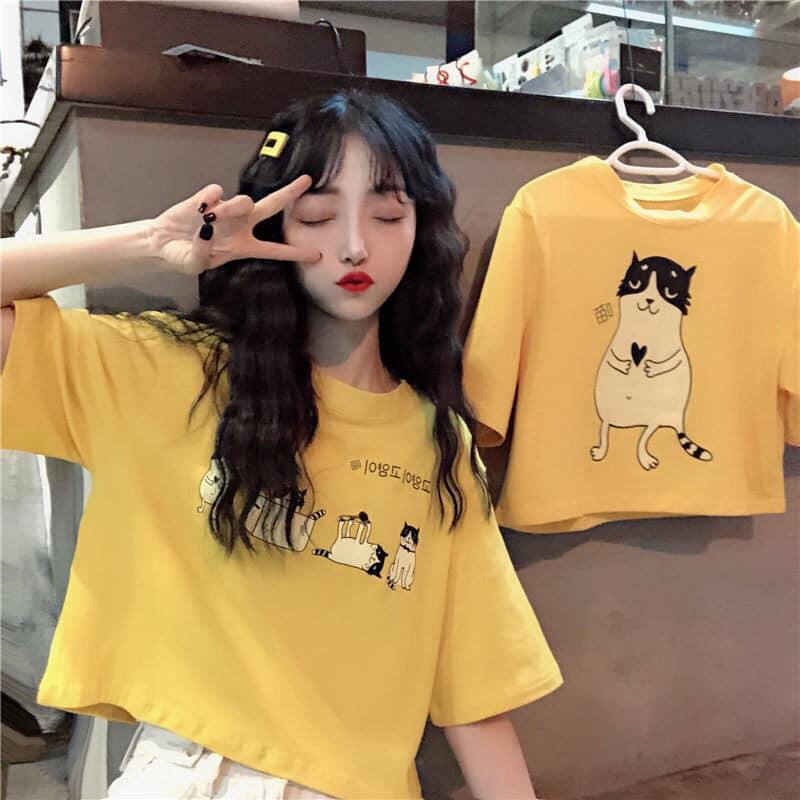 ÁO CROPTOP, ÁO CROPTOP Tay Ngắn NỮ, ÁO CROP ĐẸP, ÁO XINH, ÁO HOT, ÁO THUN LỬNG ULZZANG