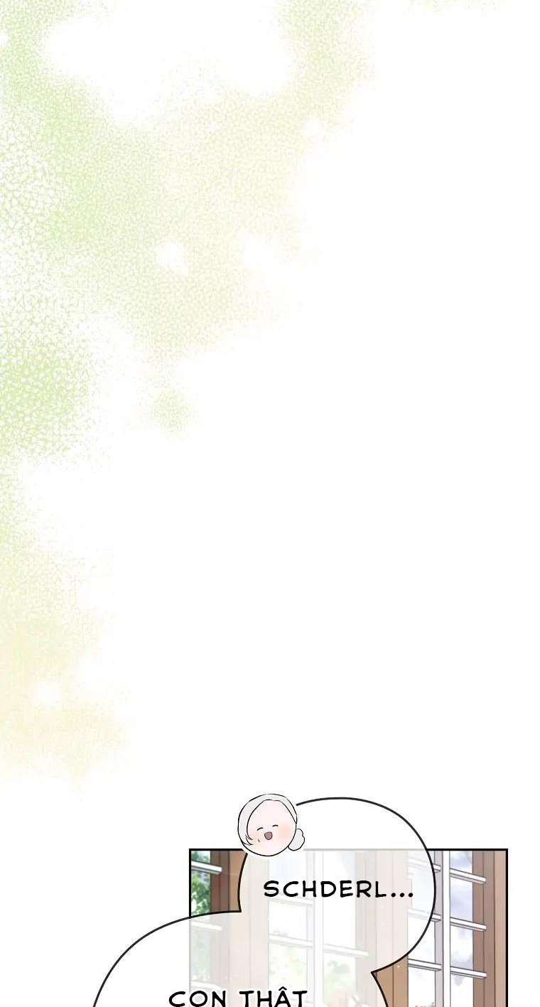 aster yêu dấu của tôi chapter 28 55