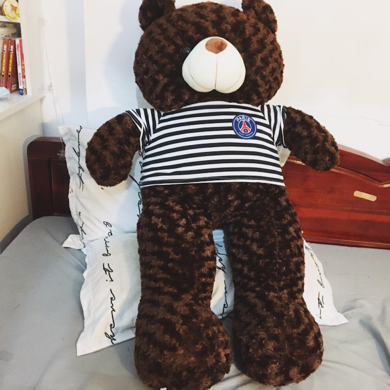 Thú bông Gấu Teddy màu nâu đen - Khổ vải 1M6 cao 1M4