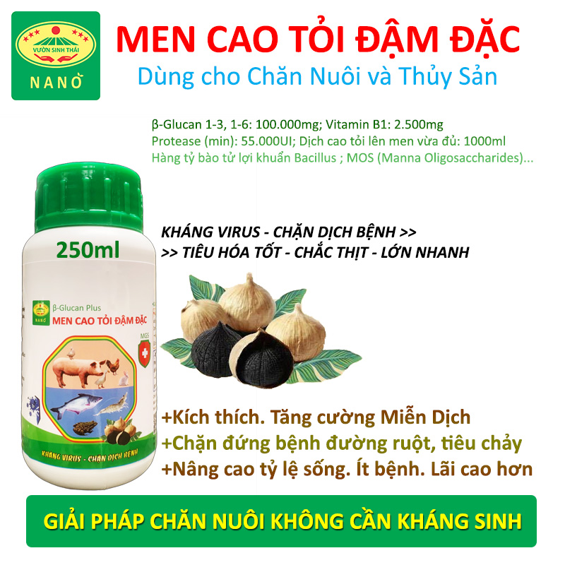 VƯỜN SINH THÁI - Dịch Men Cao Tỏi đậm đặc - Chai 1 lít