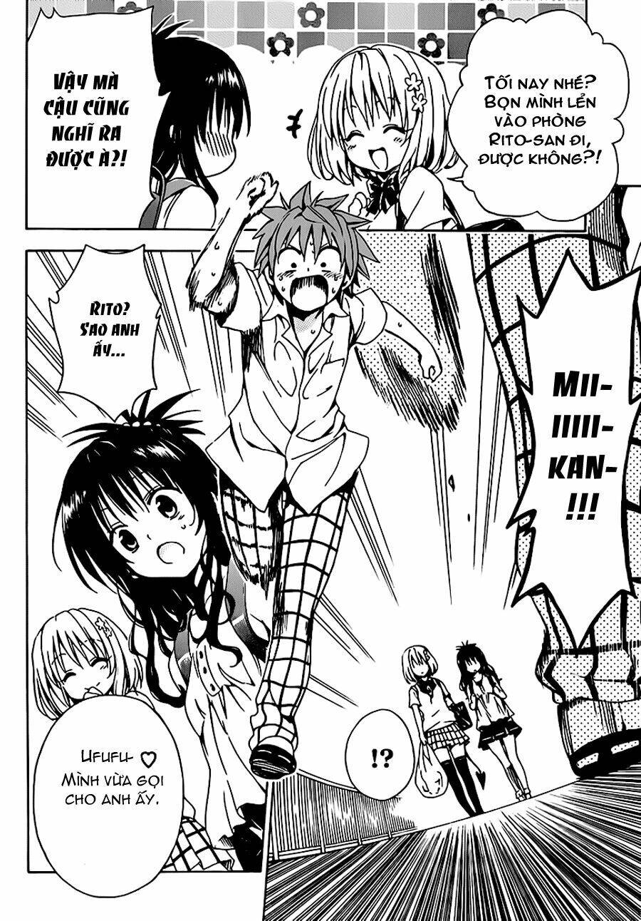 bọn tớ thích cậu! rito 2 - venus chapter 13 43