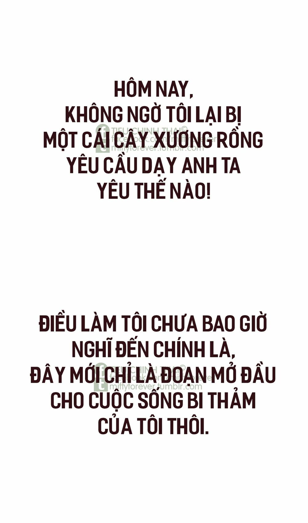 tiên thảo diệu kỳ chapter 1 56