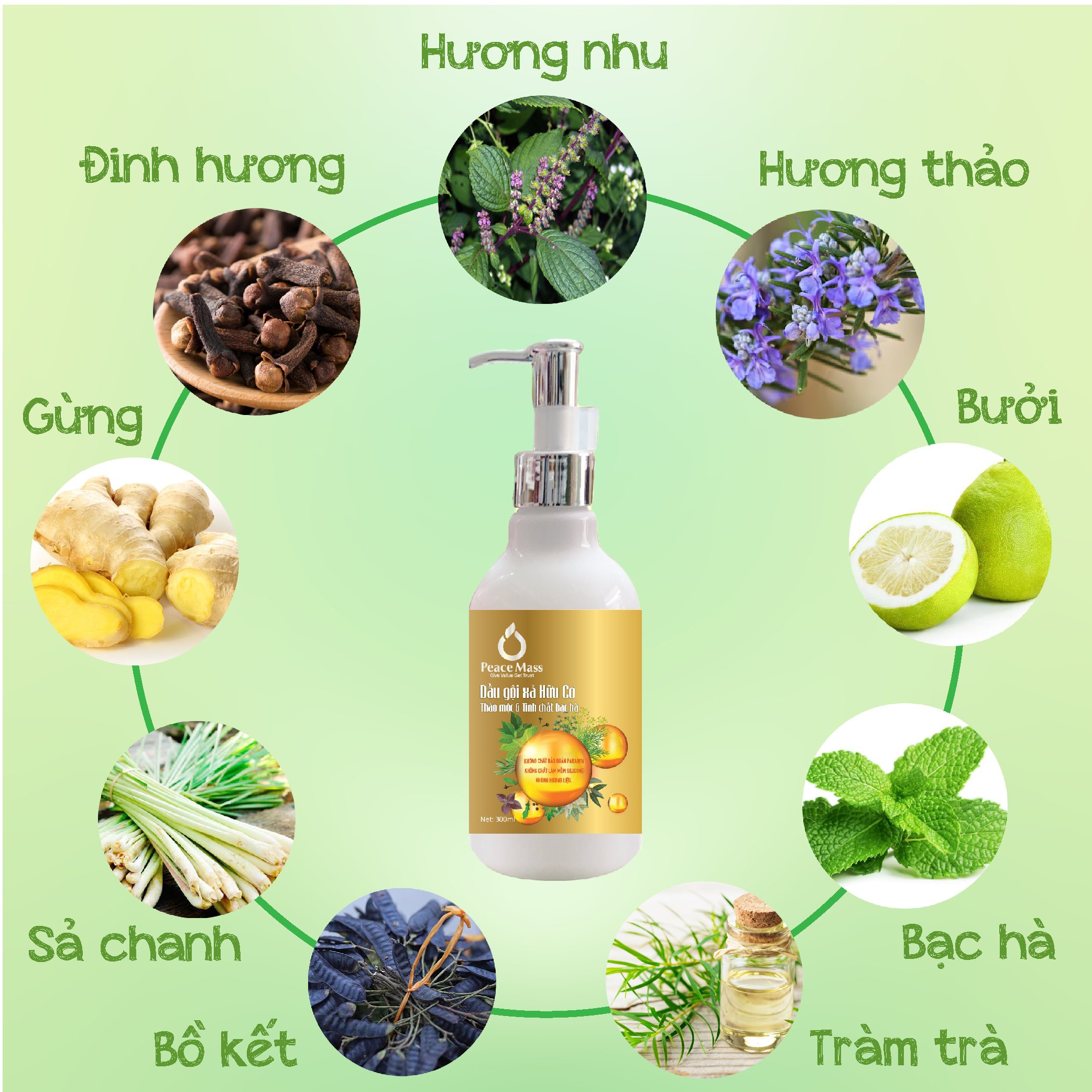 Combo Sản Phẩm  Gốc Thực Vật DGXC2 Peace Mass - Dầu Gội Xả + Sữa Tắm Thảo Mộc 300ml  (Thuộc nhóm Sản phẩm Lành tính / Hữu cơ)