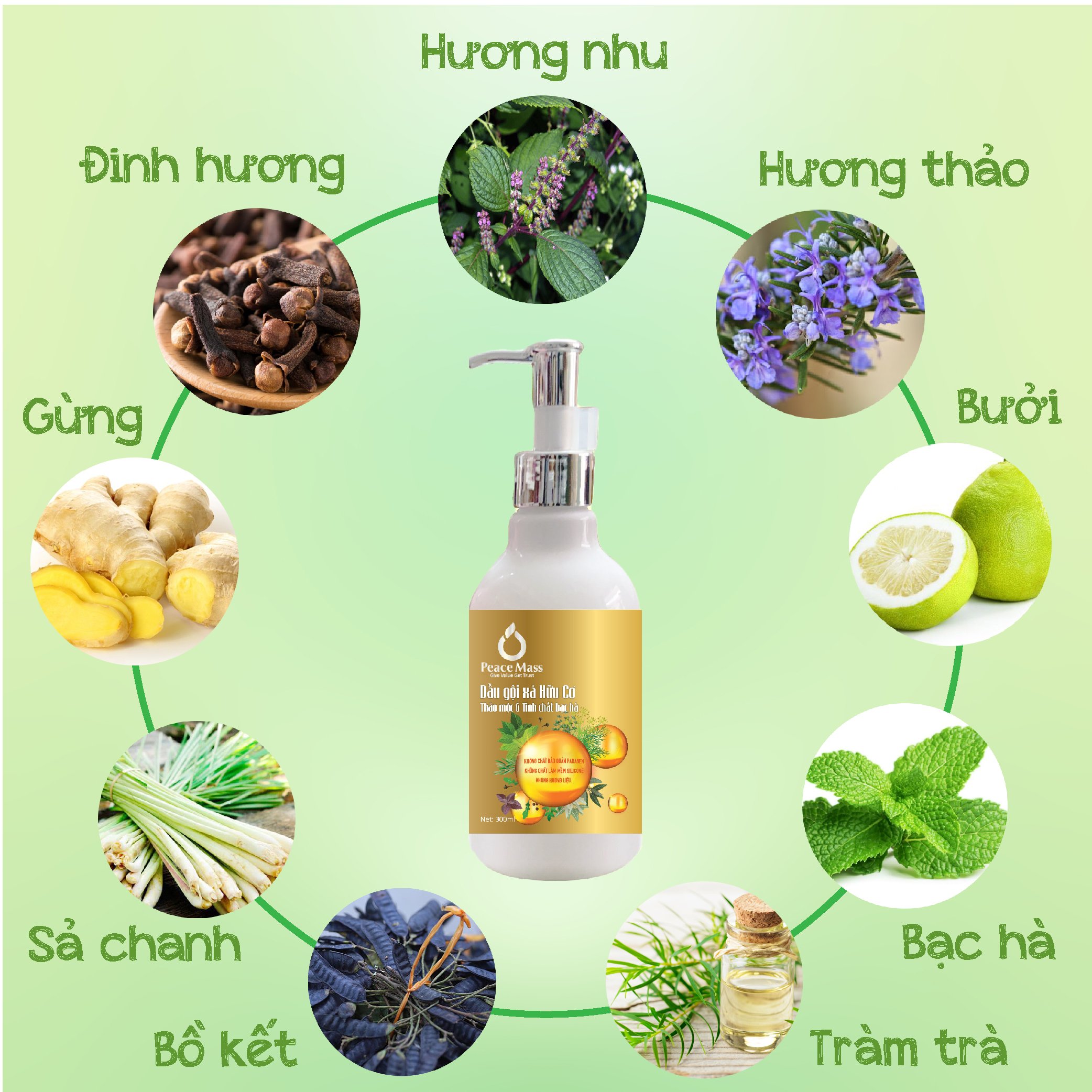 Combo Sản Phẩm Gốc Thực Vật DGXC1 Peace Mass - Dầu Gội Xả 300ml + Nước Rửa Tay 340ml