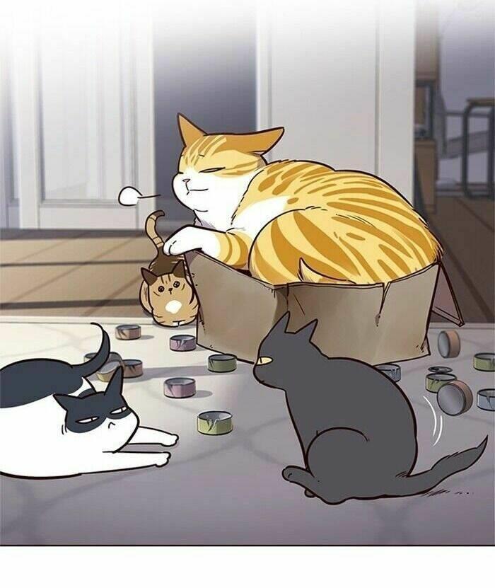 biến thân thành mèo chapter 46 99