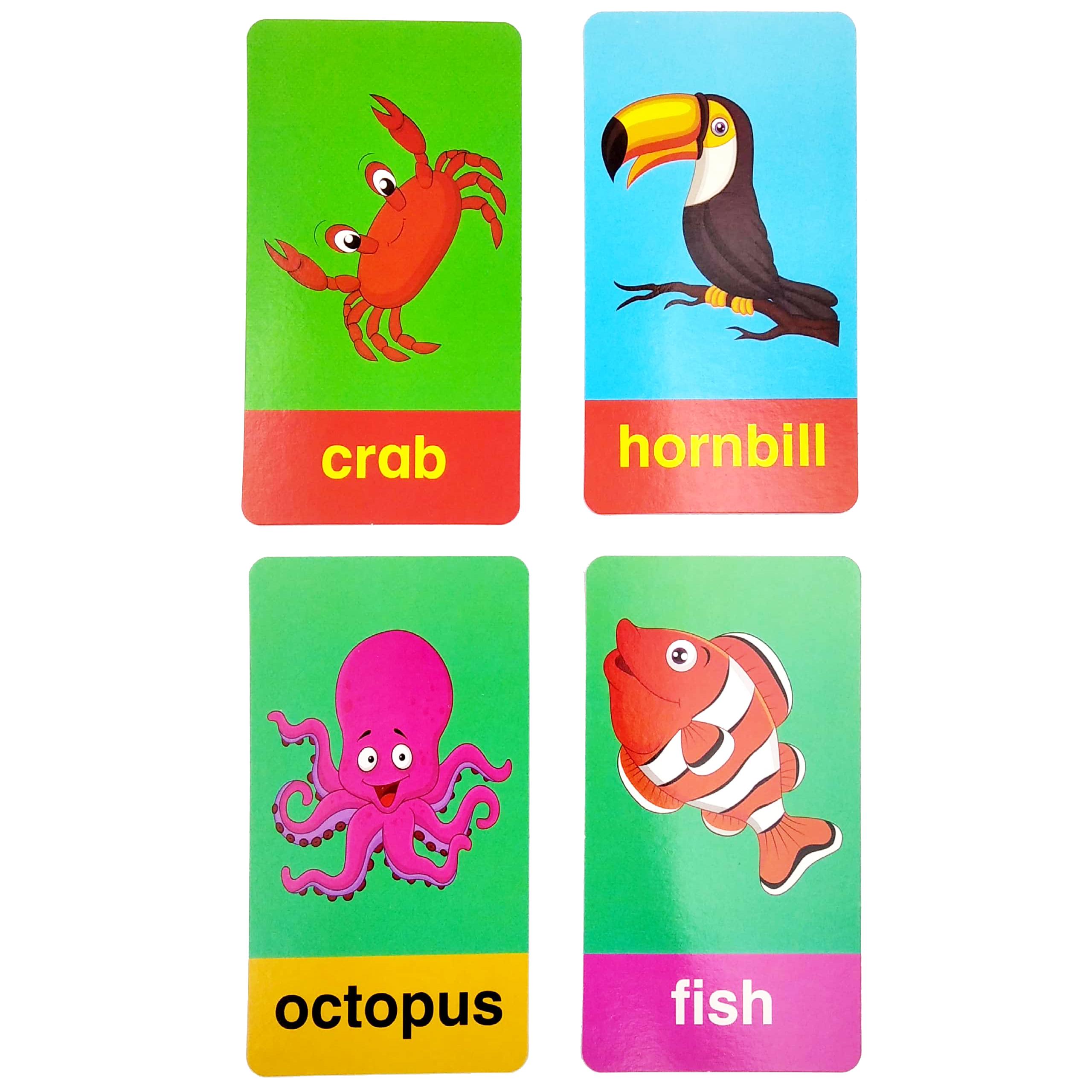 Flash Cards - Animals