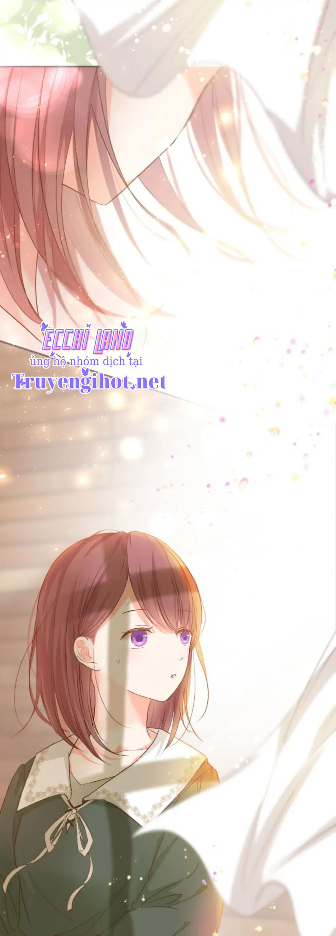 tôi được bảo vệ bởi kỵ sĩ rồng chapter 1.2 17