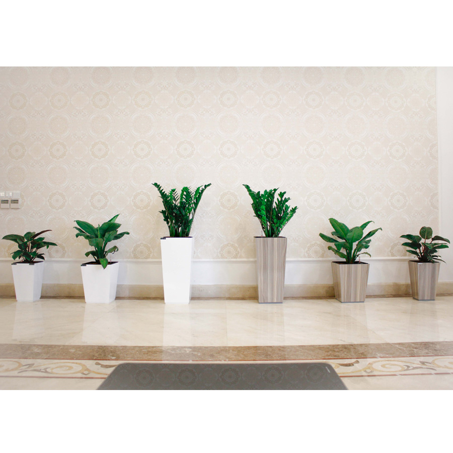 Chậu trồng hoa vuông màu trắng cao 19,3cm - Hàng Nội Địa Nhật