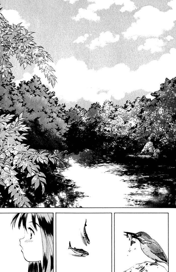 parallel chapter 15 27