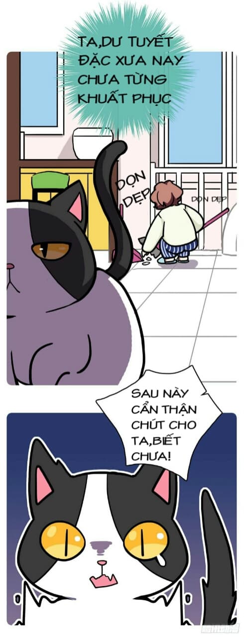 hello dư tuyết đặc chapter 1 11