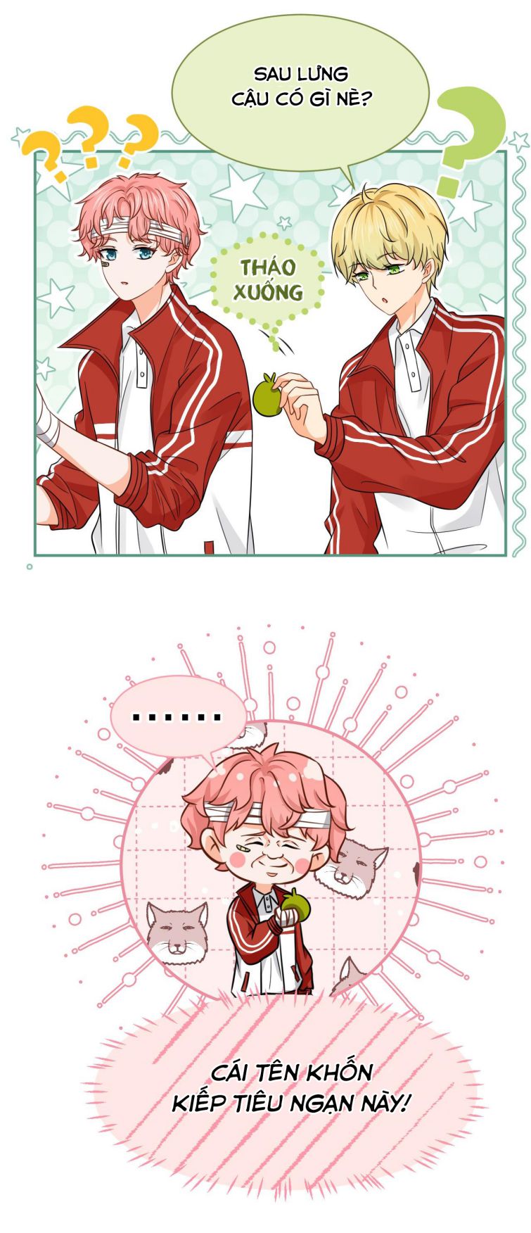 tín tức tố nói chúng ta không thể chapter 24 13
