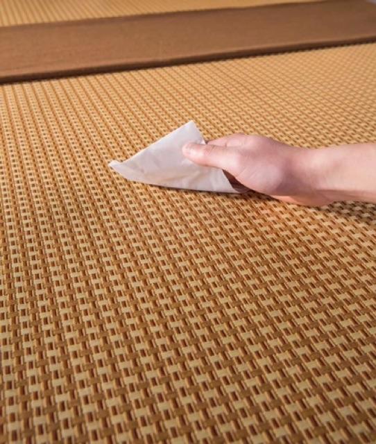 Chiếu Điều Hoà -Kèm vỏ gối cùng bộ
