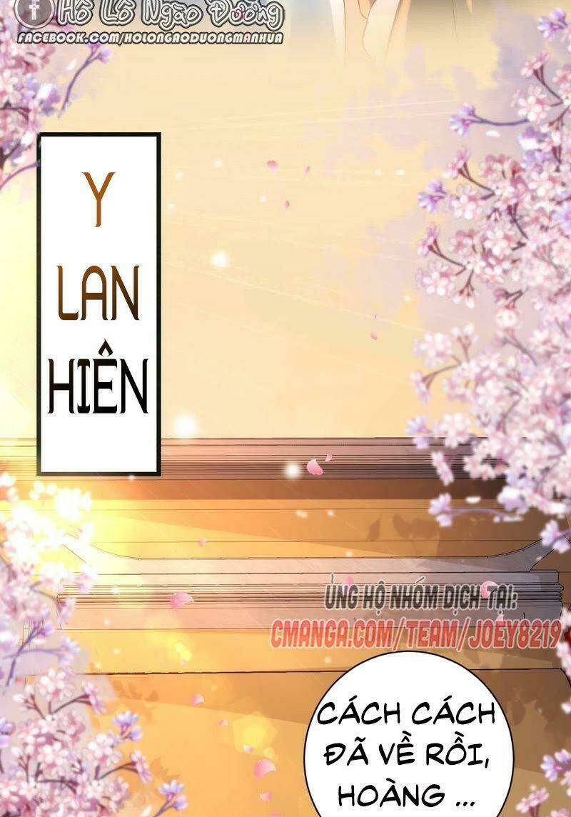 quận chúa vững vàng, thiết lập nhân vật không thể vỡ chapter 53 33