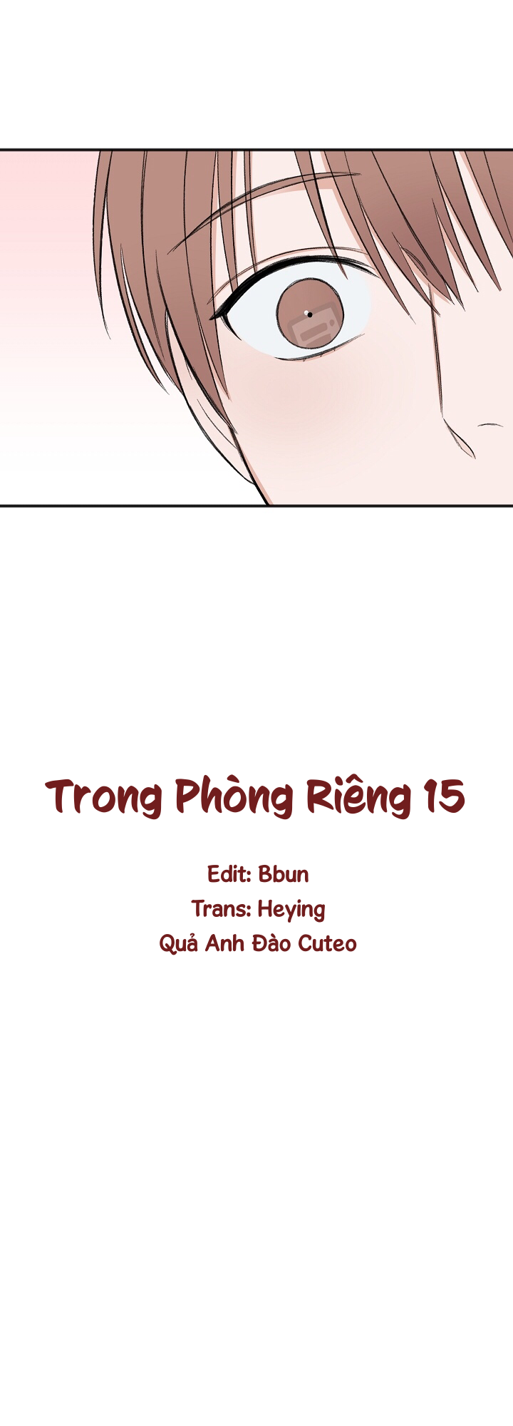 Trong Phòng Riêng chapter 15