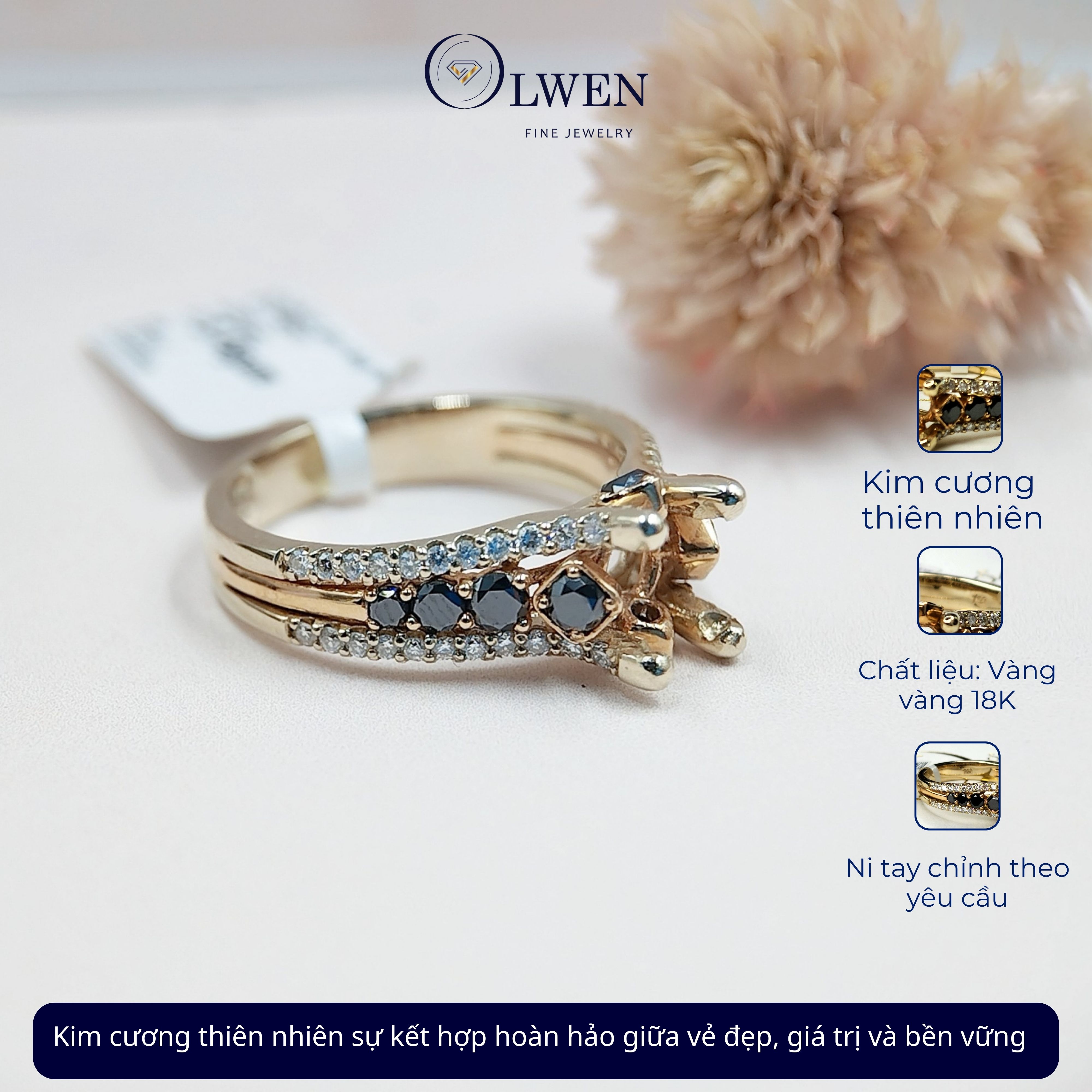 Vỏ nhẫn kim cương đen và kim cương trắng 18K HK Olwen HA-R000074