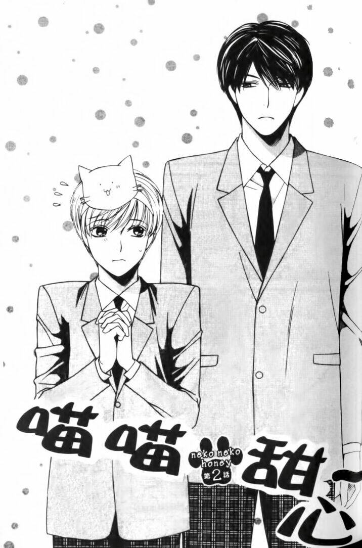 neko neko honey chapter 2 2