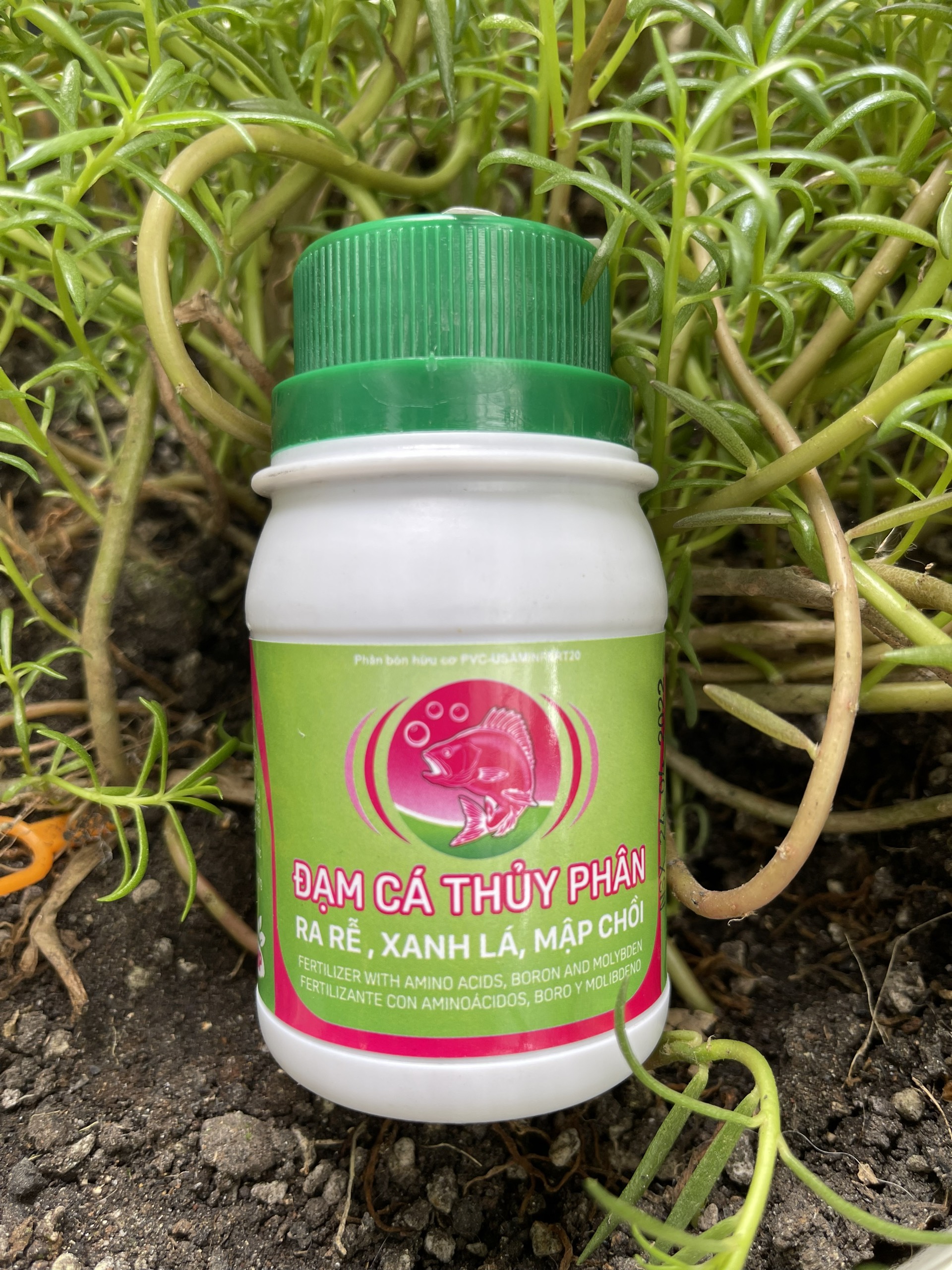 Phân đạm cá thủy phân chai 100ml