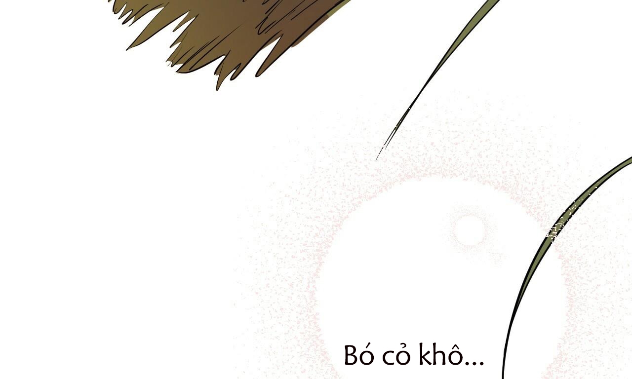 đàn thỏ của habibi chapter 39 13