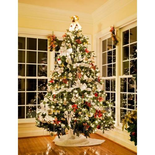 Cây Thông Dày Lá 150 cm