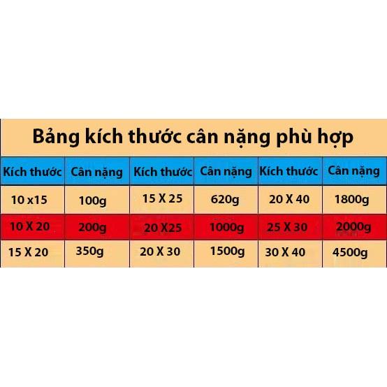 Túi hút chân không thực phẩm túi một mặt nhám, sần rộng 25 cm dài 35 cm cho mọi máy hút chân không Bộ 50 Túi