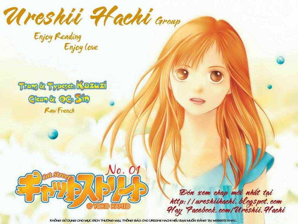 cat street chapter 5 3