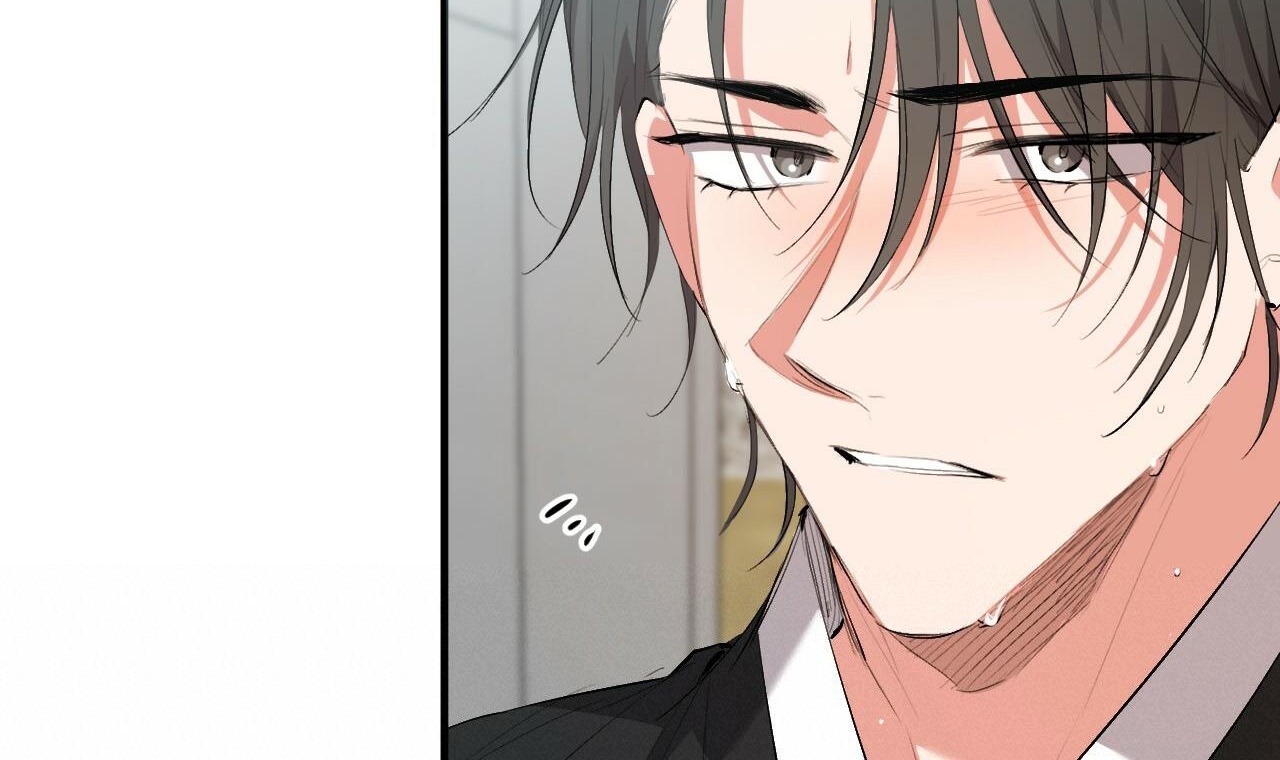 đàn thỏ của habibi chapter 50 33