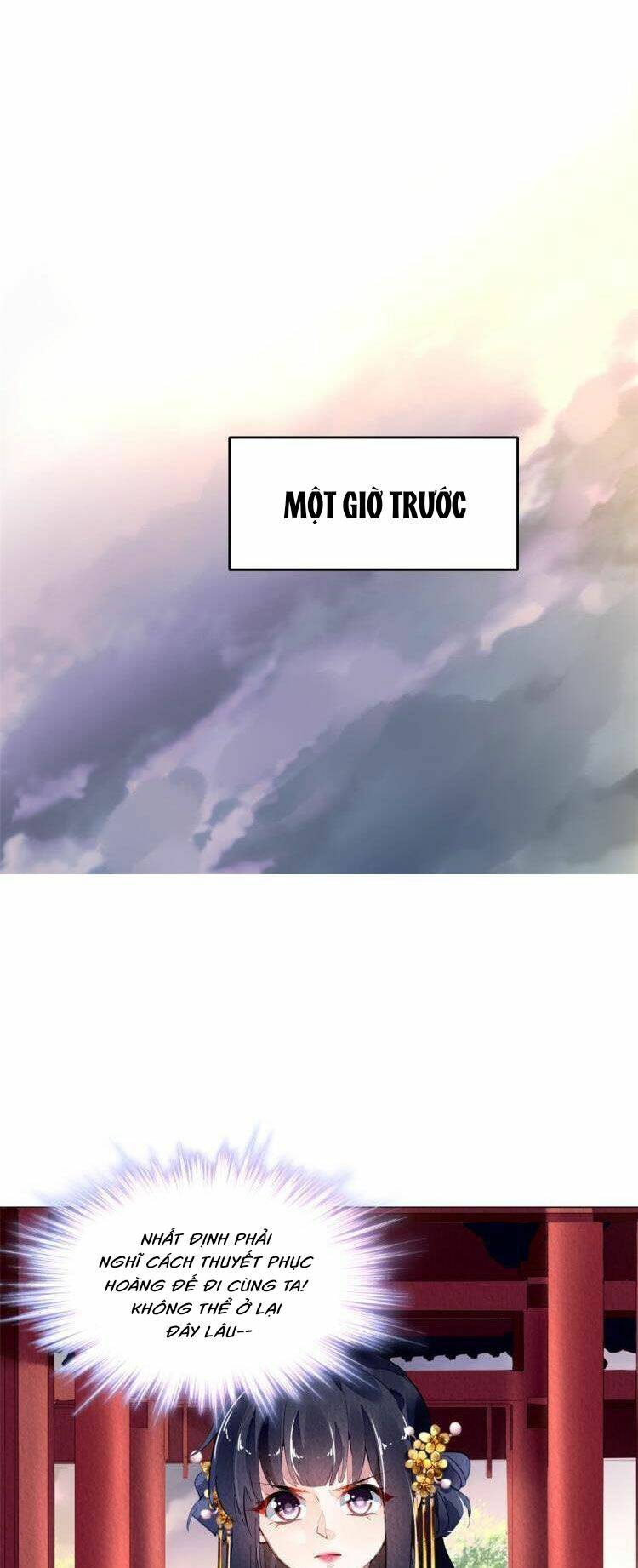 vấn đan chu chapter 32 31