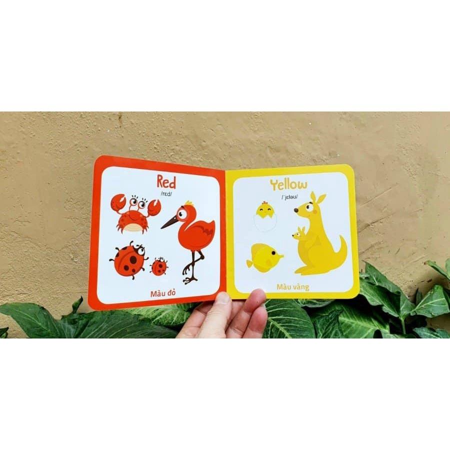 THƯ VIỆN HÌNH ẢNH CHO BÉ NHẬN BIẾT THẾ GIỚI XUNG QUANH