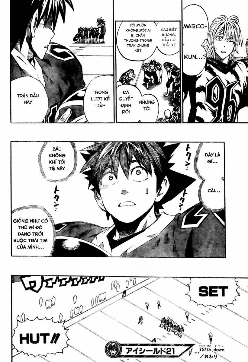 lá chắn mắt chapter 257 17