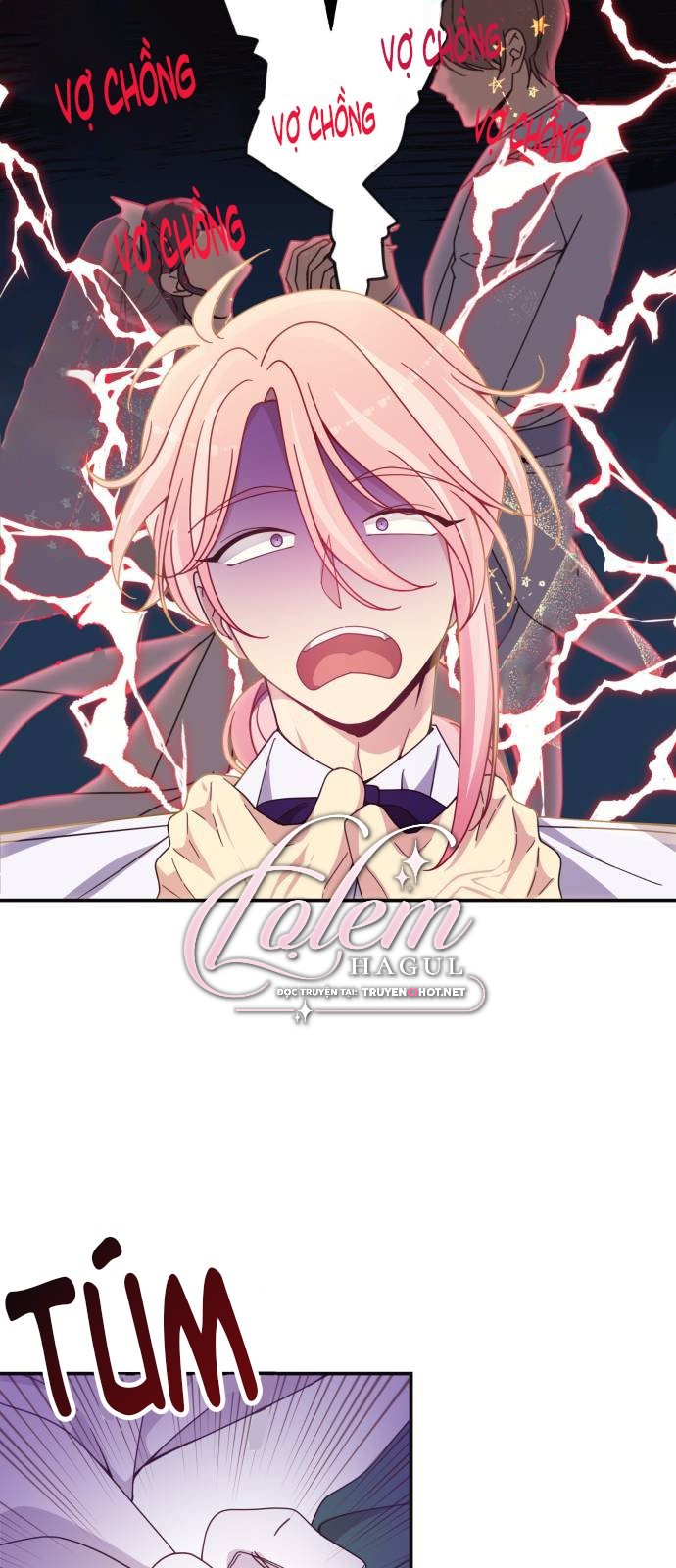 tôi không muốn kết hôn nữa chapter 2 4