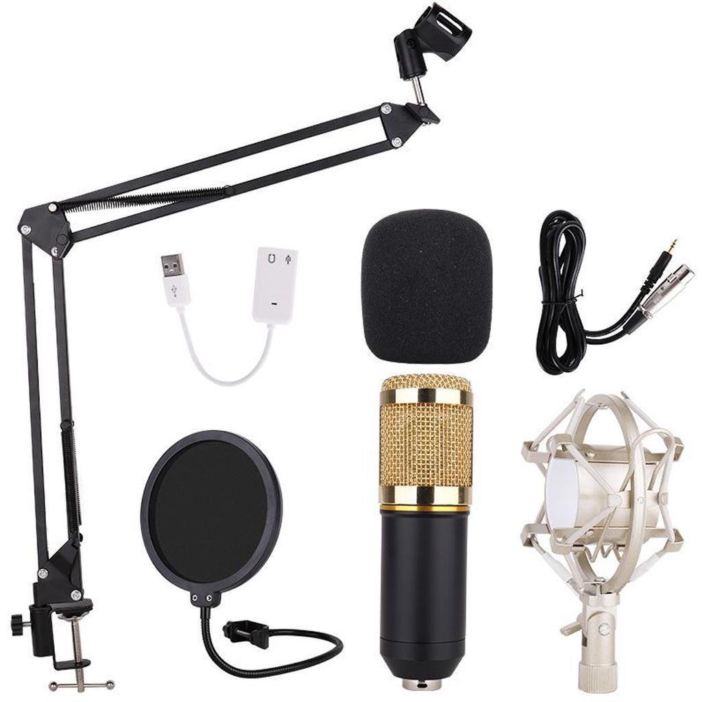 Condenser Microphone 800 with Adjustable Mic Bracket