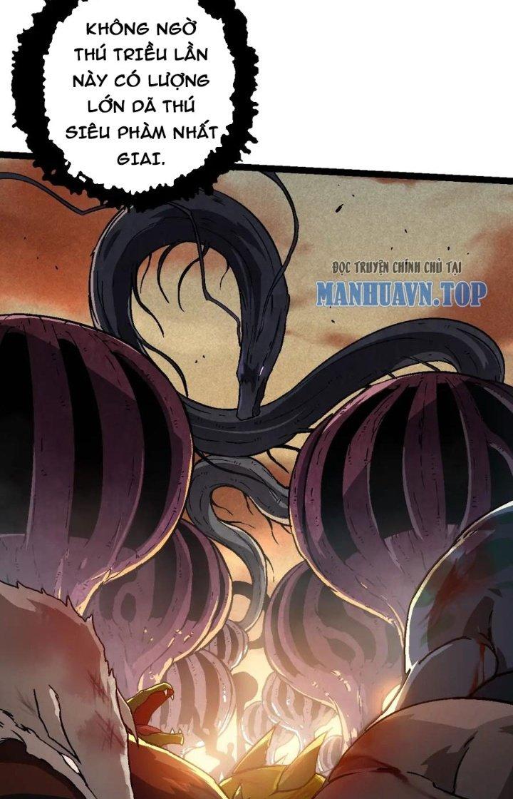 từ cây cổ thụ bắt đầu tiến hóa chapter 74 13