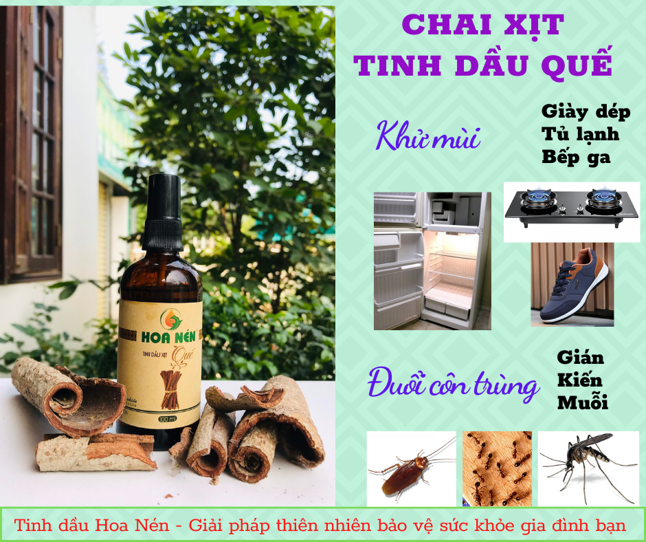 Chai xịt tinh dầu Quế Hoa Nén 100ml - Khử mùi, làm thơm, đuổi côn trùng