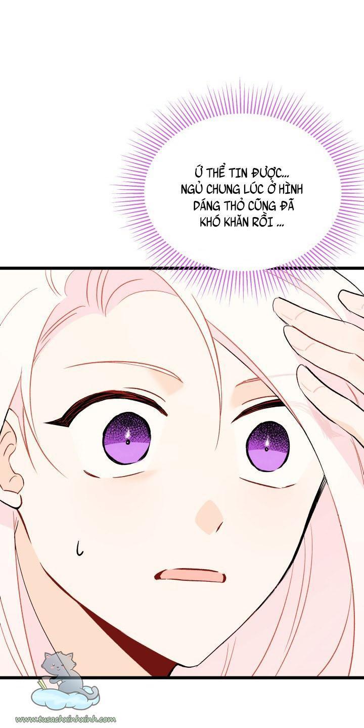 quan hệ cộng sinh giữa báo đen và thỏ trắng chapter 52 58