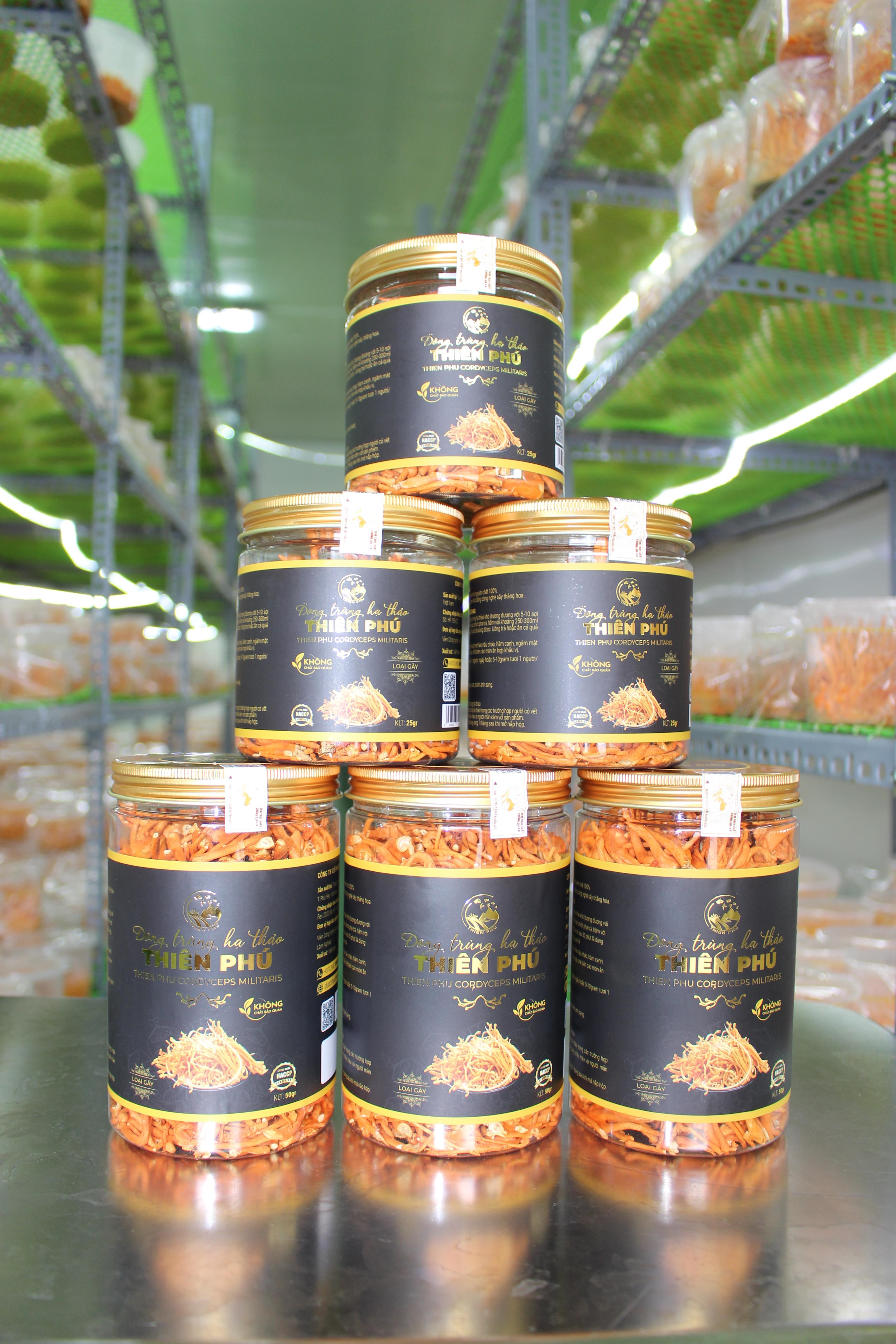 Đông trùng hạ thảo sấy thăng hoa 25g