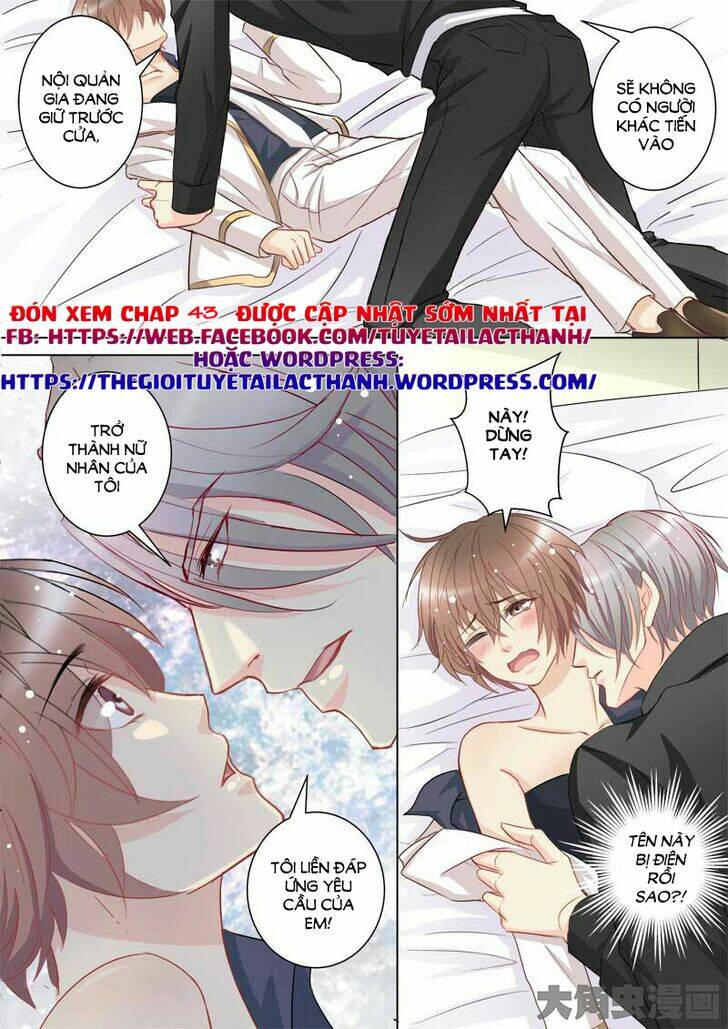 the stars are not luminous body chapter 42 8