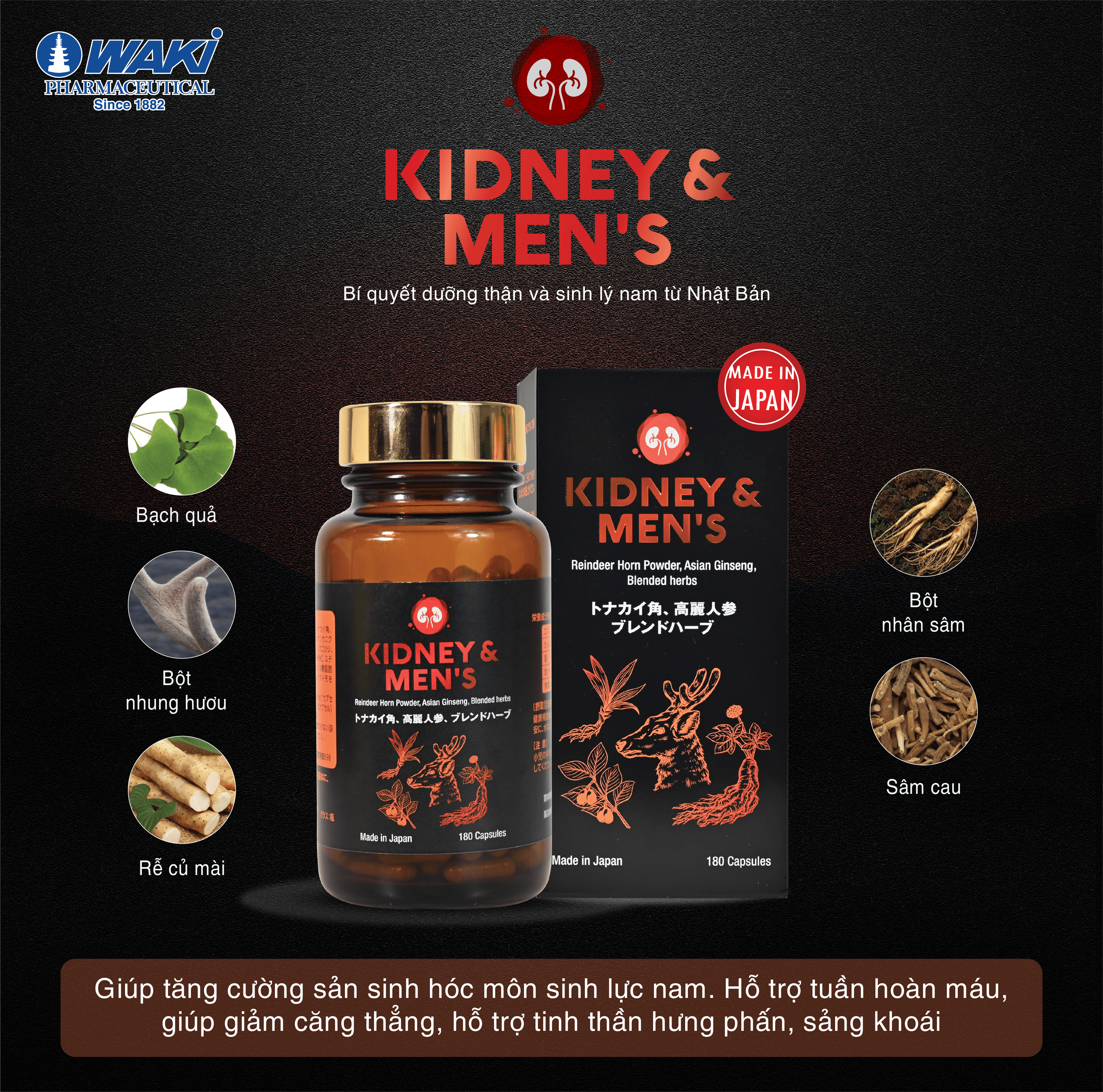 Thực phẩm bảo vệ sức khỏe Kidney & Men's Giúp Bổ Thận và Tăng Cường Sinh Lý Nam từ Nhật Bản