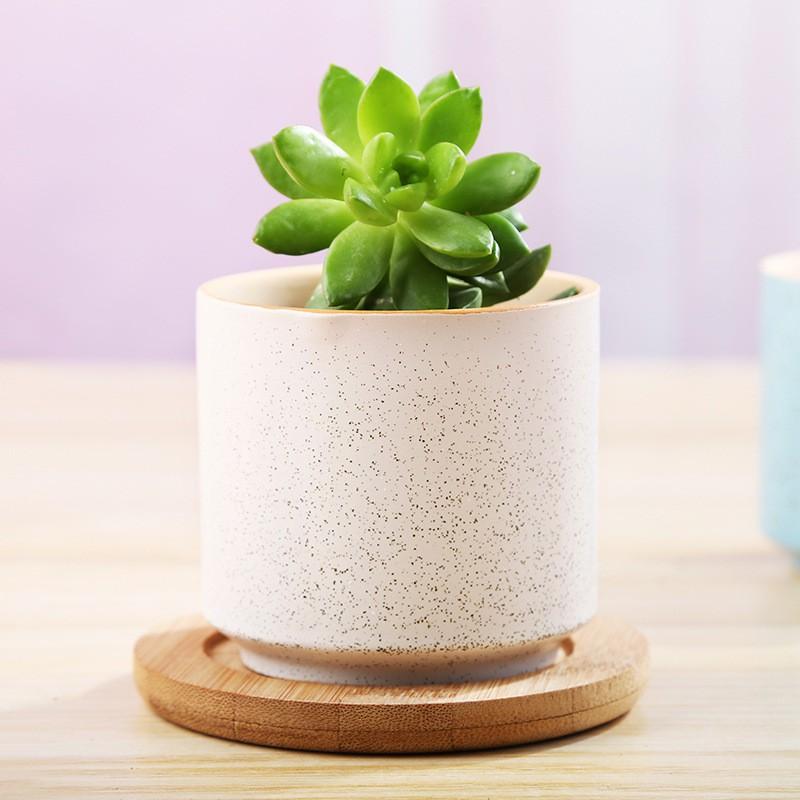 Chậu sứ hình cốc nhiều màu sắc nhã nhặn, chậu trồng cây hình trụ nhỏ gốm sứ Trung Quốc loại đẹp