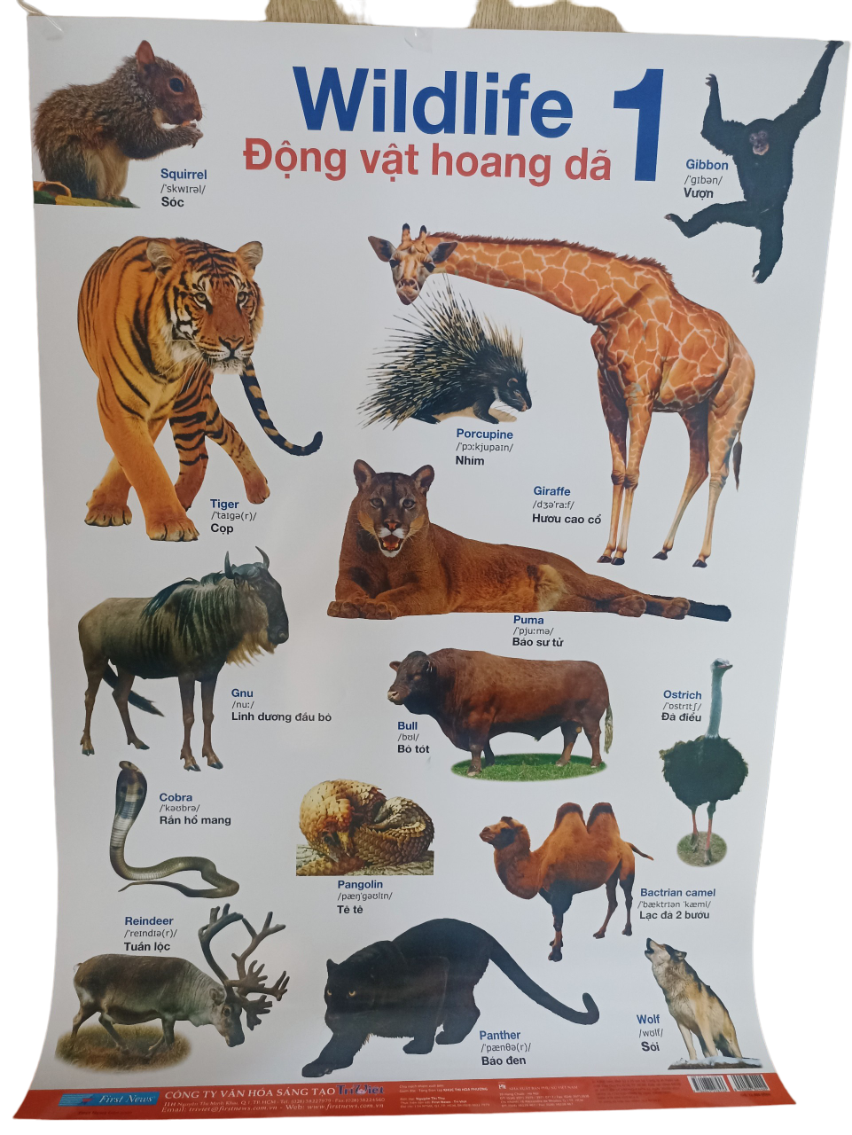 POSTER Lớn - Động Vật Hoang Dã 1