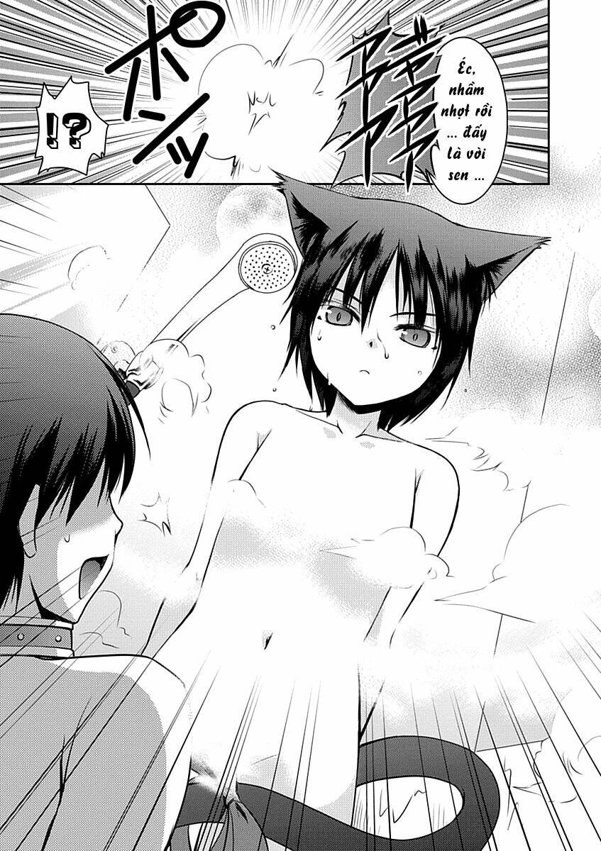 perowan! - hayaku shinasai! goshujin-sama chapter 11 14