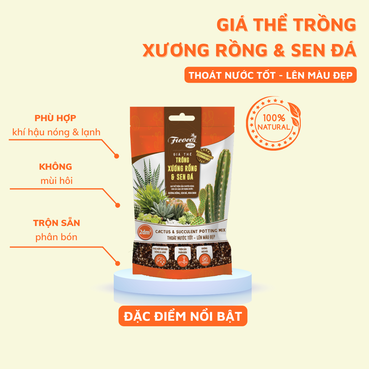 Giá Thể Trồng Xương Rồng, Sen Đá Cao Cấp Ficoco