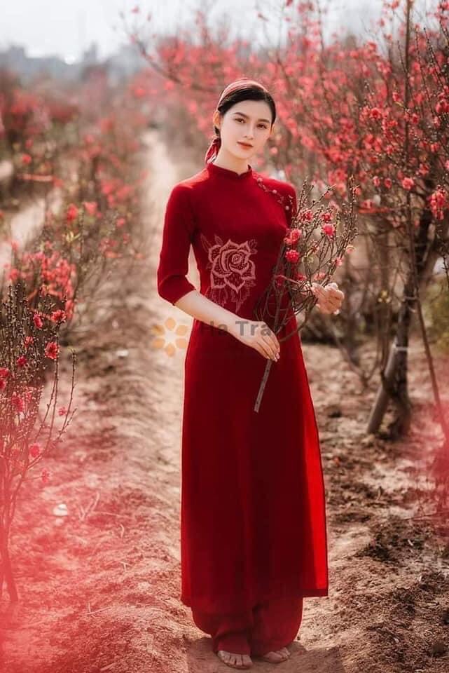 Áo Dài Thêu Truyền Thống Lụa Tằm Nhung Cao Cấp - Áo Dài Mian